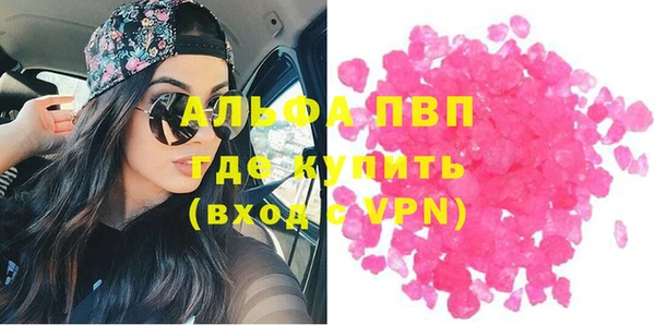 ПСИЛОЦИБИНОВЫЕ ГРИБЫ Туринск