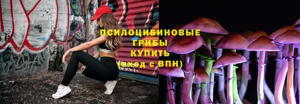 крисы Бородино