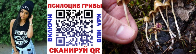 Галлюциногенные грибы прущие грибы  Кинель 